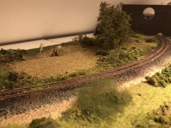 CBar041 Hund und Katz