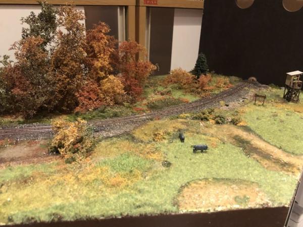 CBar044 Saure Wiesen