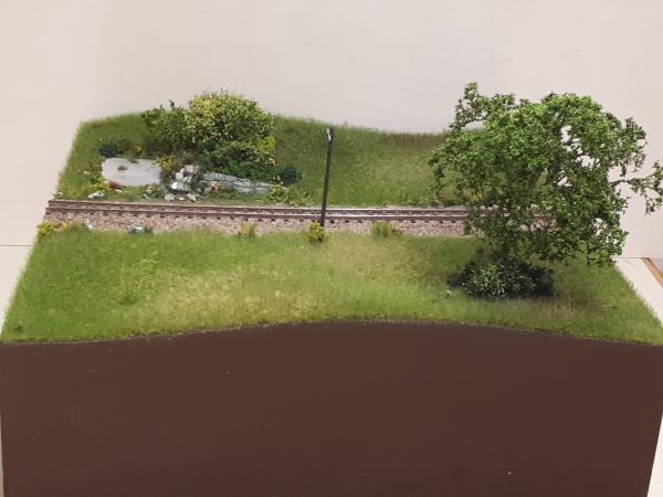 CKai018 20200318 214422kl