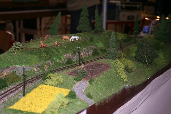 1005 Pferdekoppel Wolkersdorf IMG 4400kl