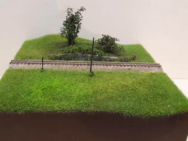 CKai016 20191222 203305kl