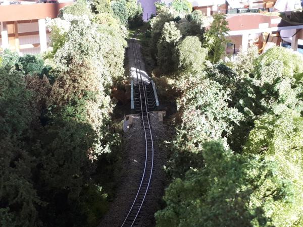 PPes023 Lainsitz 20200208 151638kl