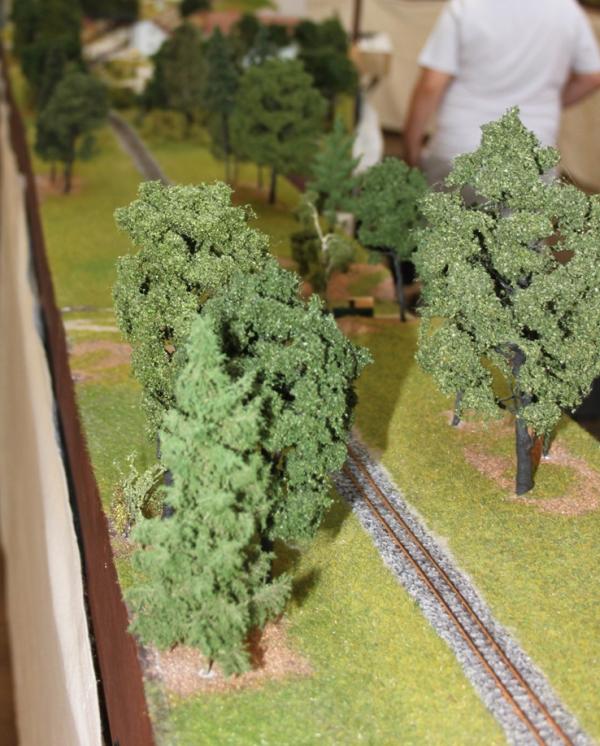 Mollner Becken IMG 1890kl