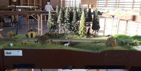 AMay005 1405 20200208 151804kl2