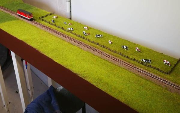 MHei002 IMG 20190411 WA0000