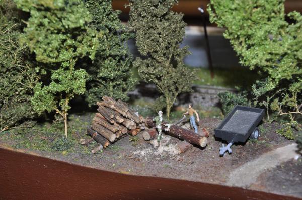 Holzfaeller Peter DSC 2551